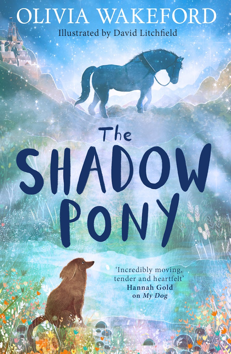 Cover image for The Shadow Pony, isbn: 9780008658625