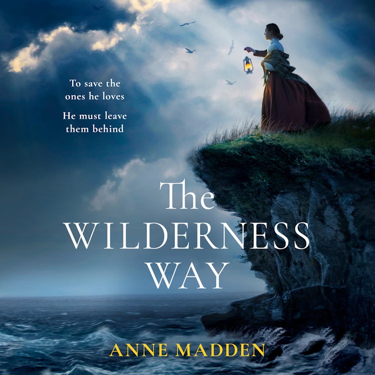 Cover image for The Wilderness Way: Watch Irish history unfold in this powerful and gripping tale inspired by a true story!, isbn: 9780008659448