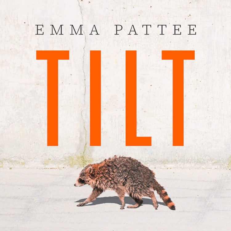 Cover image for Tilt: A thrilling literary debut about how we confront disaster, hotly anticipated for 2025, isbn: 9780008667733