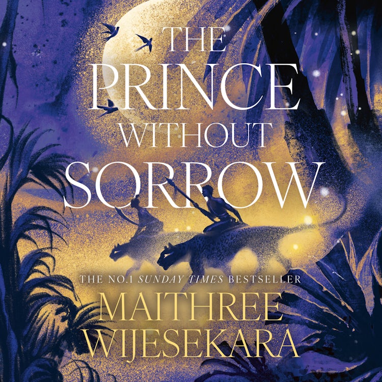 Cover image for The Prince Without Sorrow: The No.1 Sunday Times Bestselling fantasy debut sensation of 2025 (Obsidian Throne, Book 1), isbn: 9780008672072