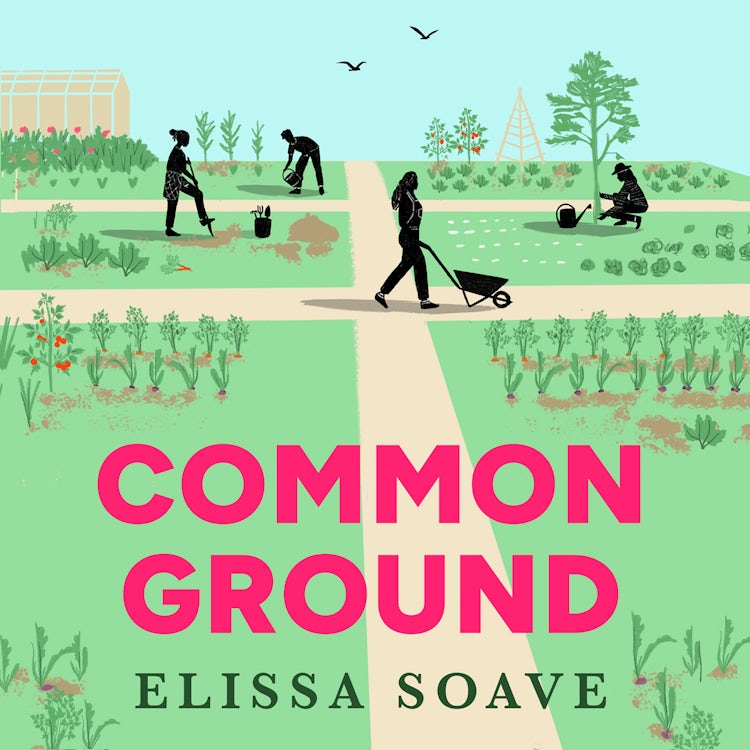 Cover image for Common Ground, isbn: 9780008673338