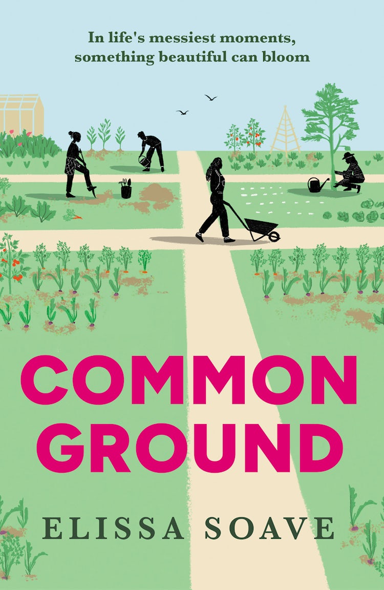 Cover image for Common Ground, isbn: 9780008673345