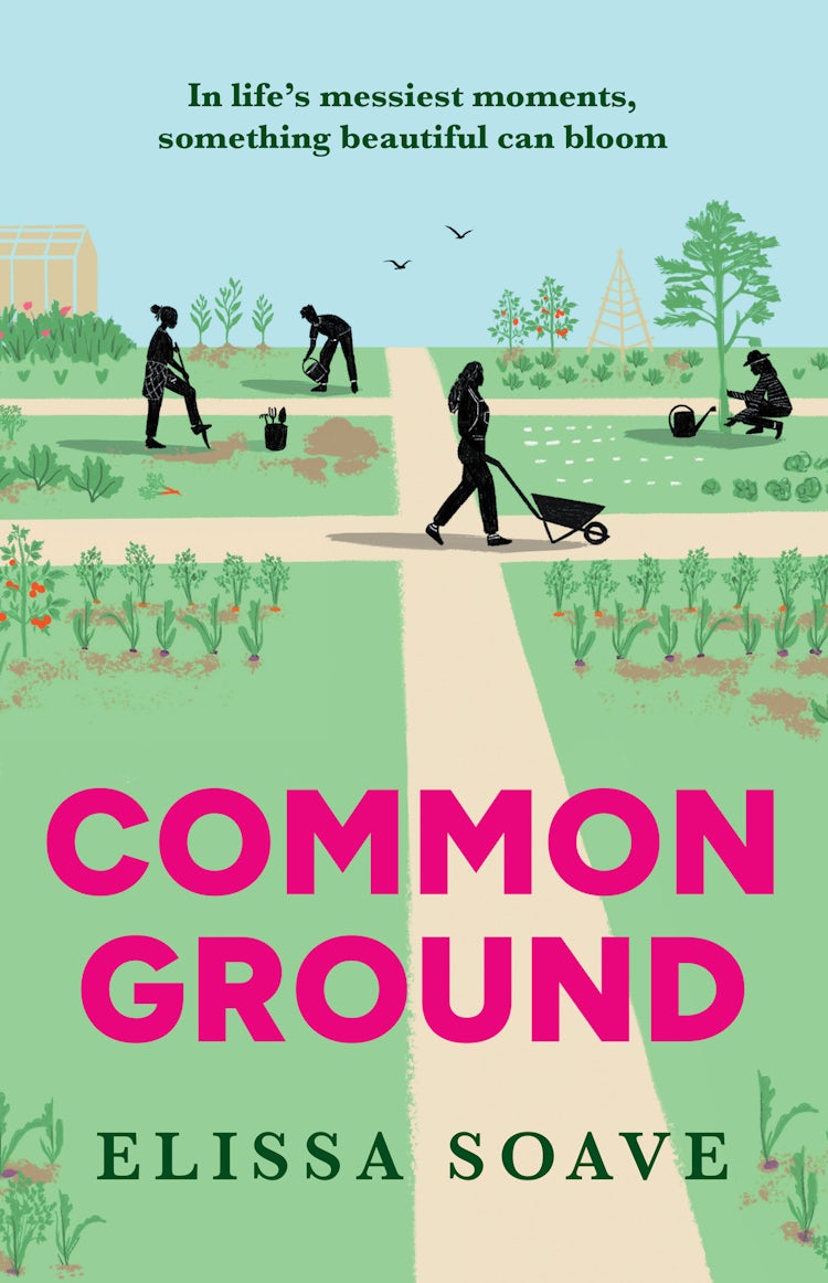 Cover image for Common Ground, isbn: 9780008673369