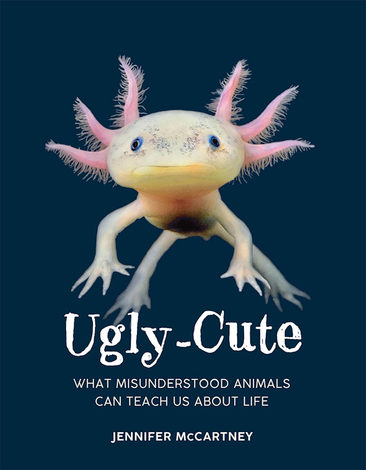 Cover image for Ugly-Cute: What Misunderstood Animals Can Teach Us About Life, isbn: 9780008680091