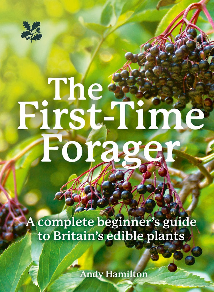 Cover image for The First-Time Forager: A Complete Beginner’s Guide to Britain’s Edible Plants (National Trust), isbn: 9780008680497