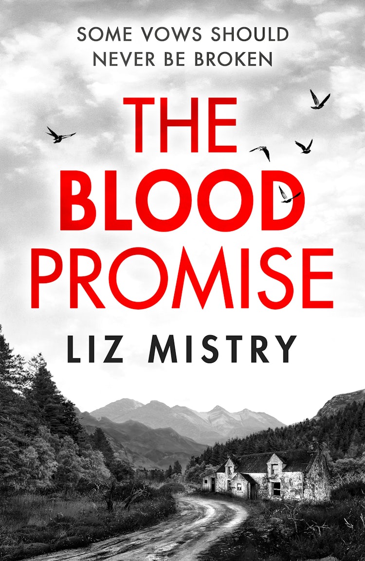 Cover image for The Blood Promise (The Solanki and McQueen Crime Series, Book 1), isbn: 9780008686437