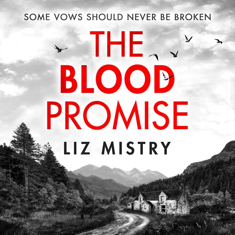 Cover image for The Blood Promise: A brand-new gripping Scottish police procedural series for 2025 for crime and thriller fans! (The Solanki and McQueen Crime Series, Book 1), isbn: 9780008686444