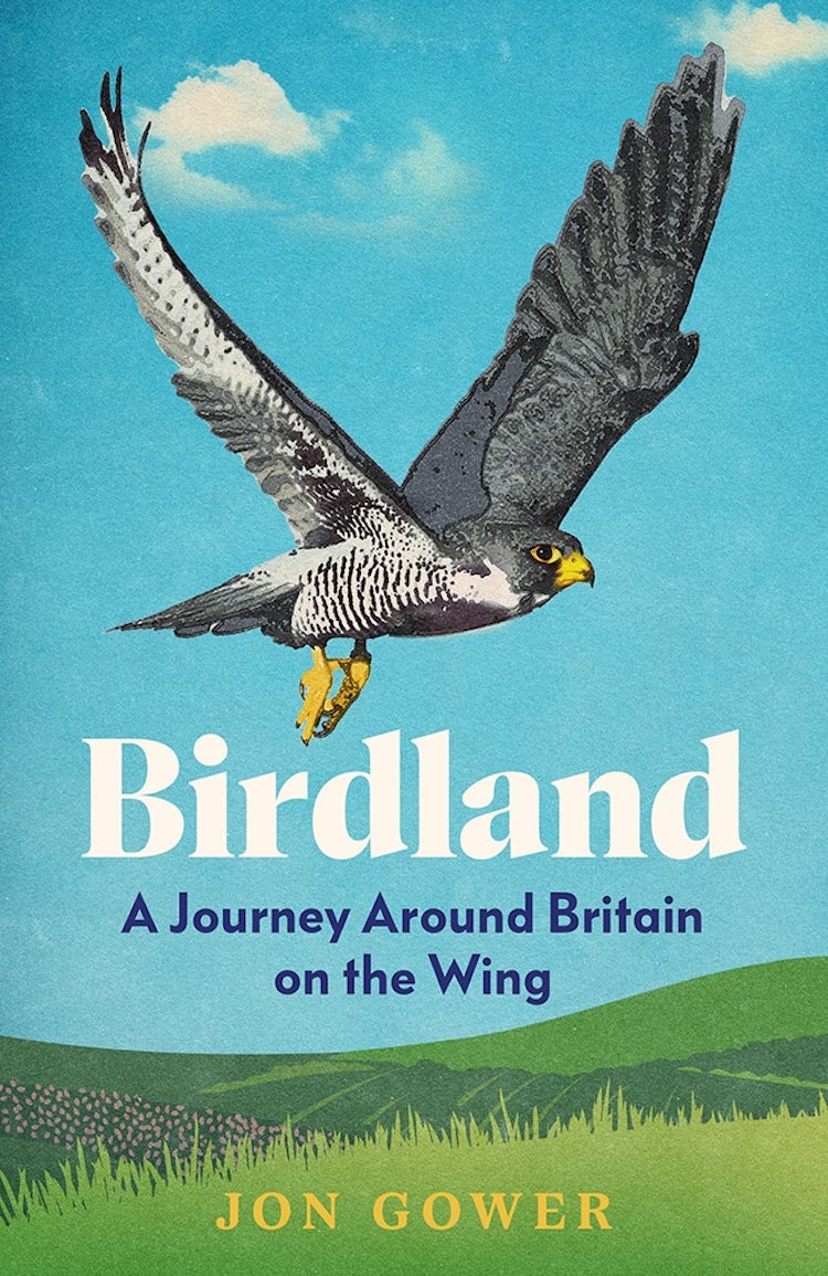 Cover image for Birdland: A Journey Around Britain on the Wing, isbn: 9780008688189
