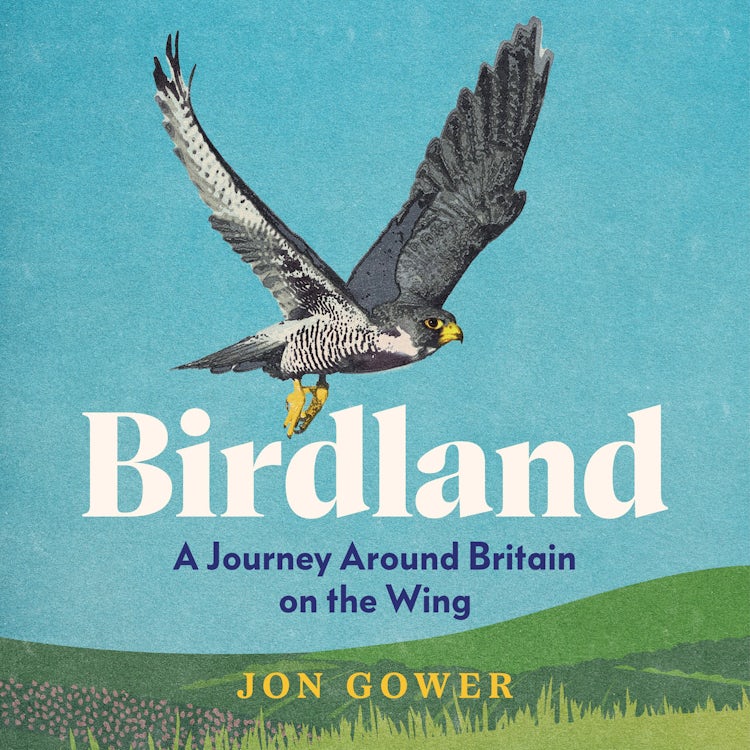 Cover image for Birdland: A Journey Around Britain on the Wing, isbn: 9780008688202