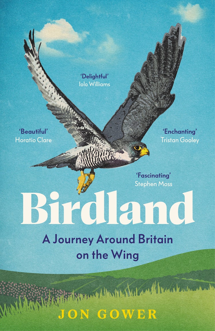 Cover image for Birdland, isbn: 9780008688219