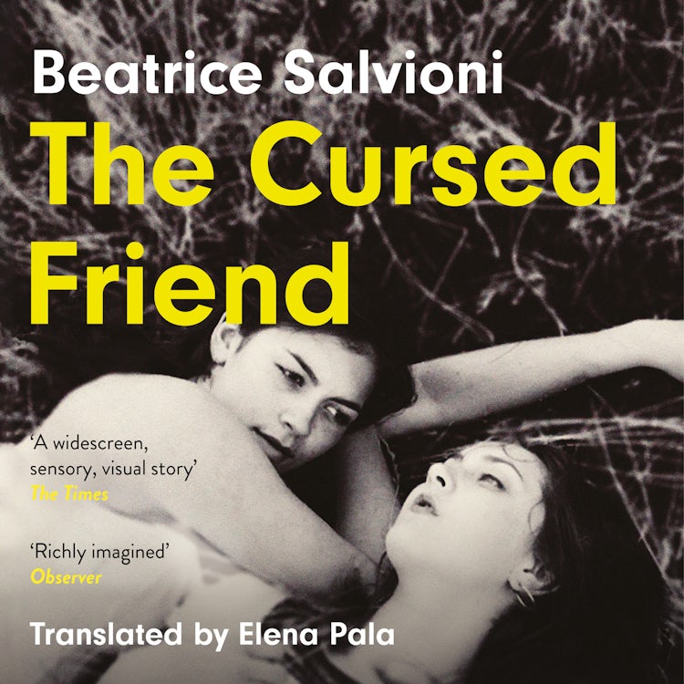 Cover image for The Cursed Friend: A thrilling debut novel and timeless tale of female friendship, isbn: 9780008694715