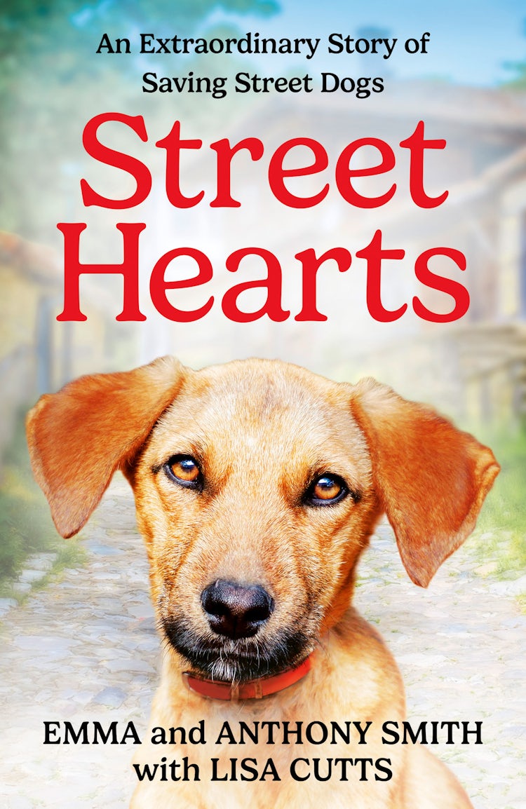 Cover image for Street Hearts: An Extraordinary Story Of Saving Street Dogs, isbn: 9780008701949