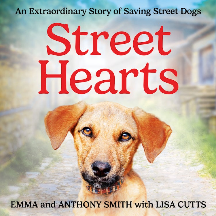 Cover image for Street Hearts: An Extraordinary Story of Saving Street Dogs, isbn: 9780008701963