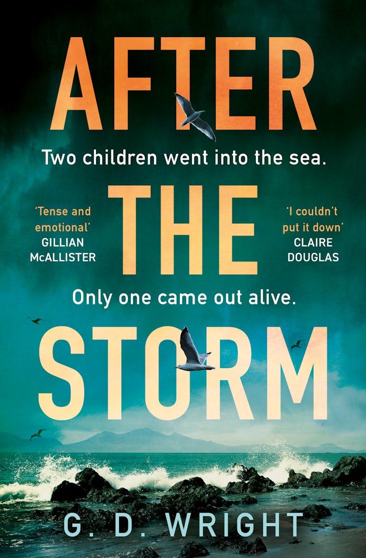 Cover image for After the Storm, isbn: 9780008702403