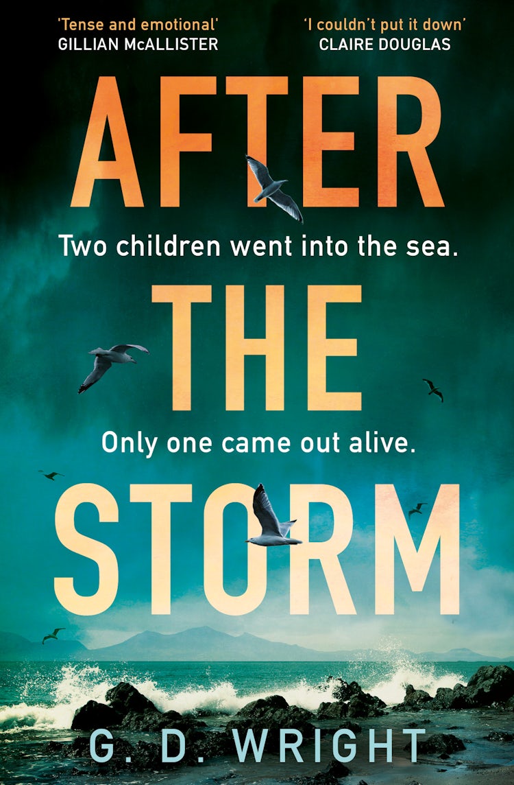 Cover image for After the Storm, isbn: 9780008702410
