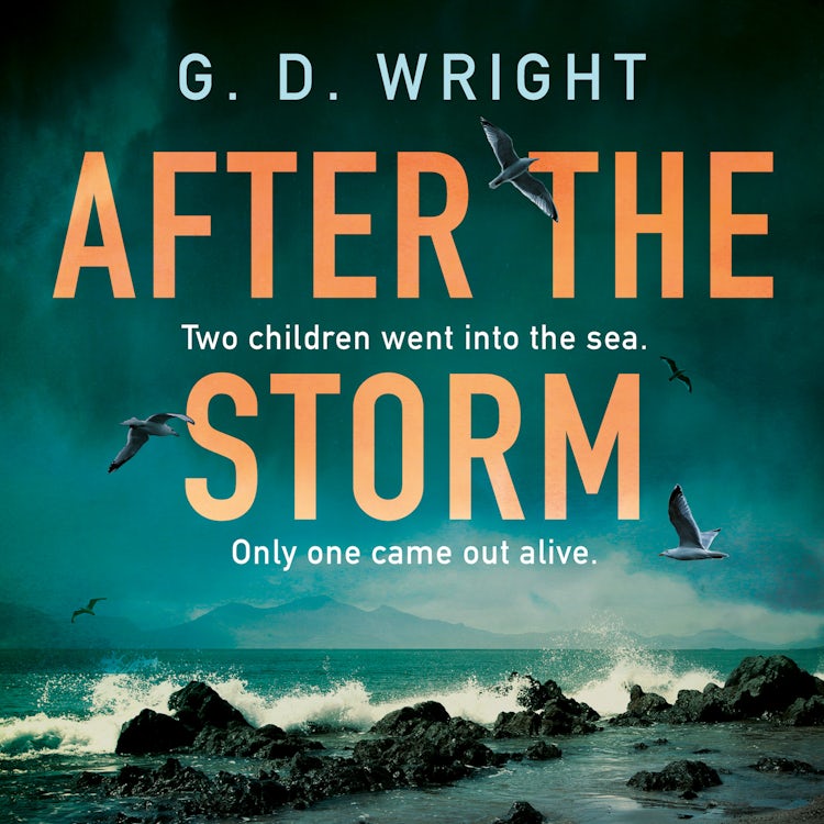 Cover image for After the Storm: Loved by Claire Douglas, Lisa Jewell and Gillian McAllister, don’t miss the best debut crime drama novel for summer 2025, perfect for fans of Broadchurch and Happy Valley, isbn: 9780008702427