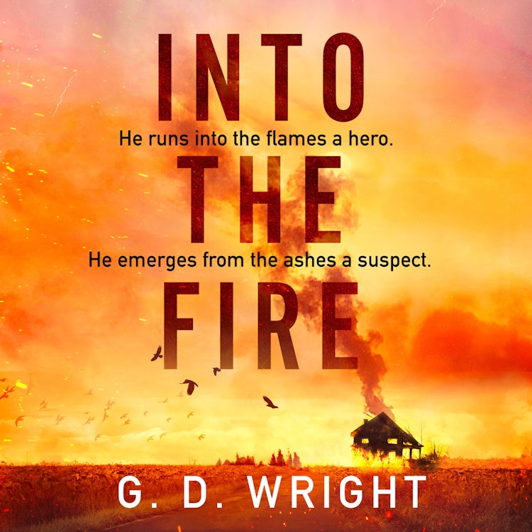 Cover image for Into the Fire: Your next crime obsession… ‘Relentlessly pacy, gripping, and deeply moving’ LISA JEWELL, isbn: 9780008702458