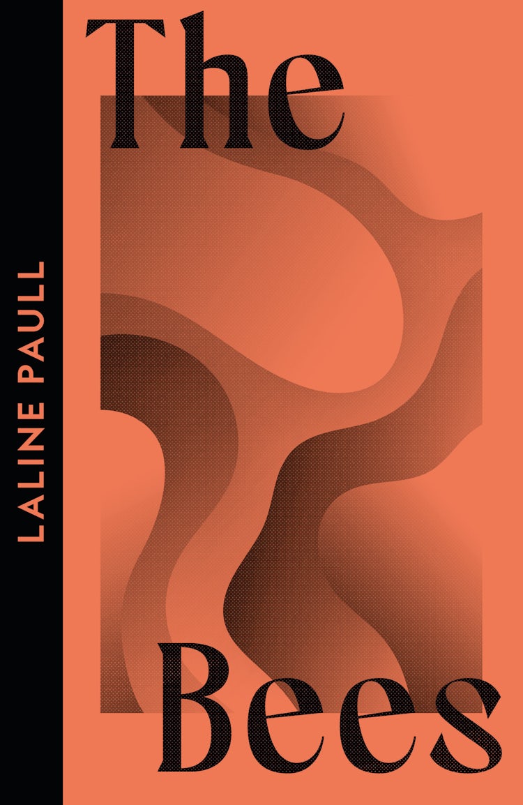 Cover image for Collins Modern Classics - The Bees, isbn: 9780008706135