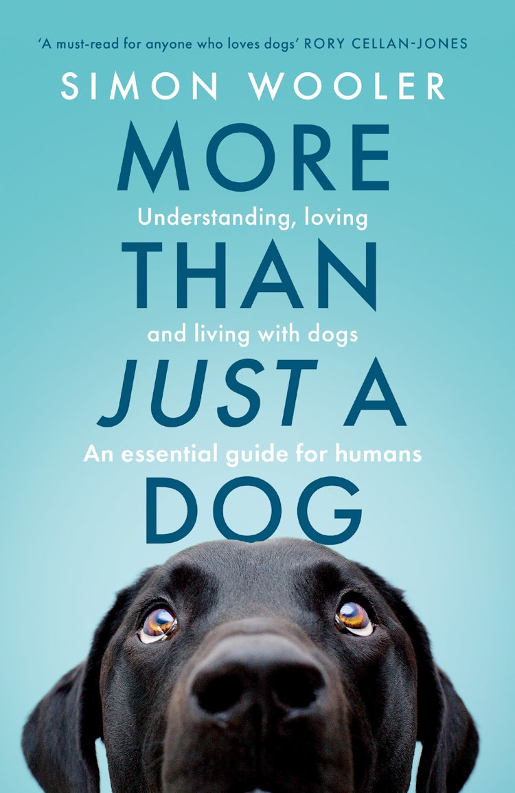 Cover image for More Than Just A Dog: Understanding, loving and living with dogs. An essential guide for humans., isbn: 9780008707484