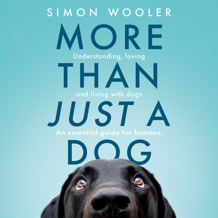 Cover image for More Than Just a Dog: Understanding, loving and living with dogs. An essential guide for humans., isbn: 9780008707507