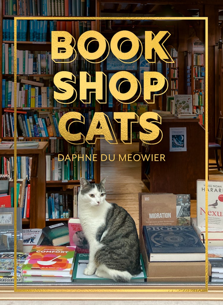 Cover image for Bookshop Cats, isbn: 9780008710217