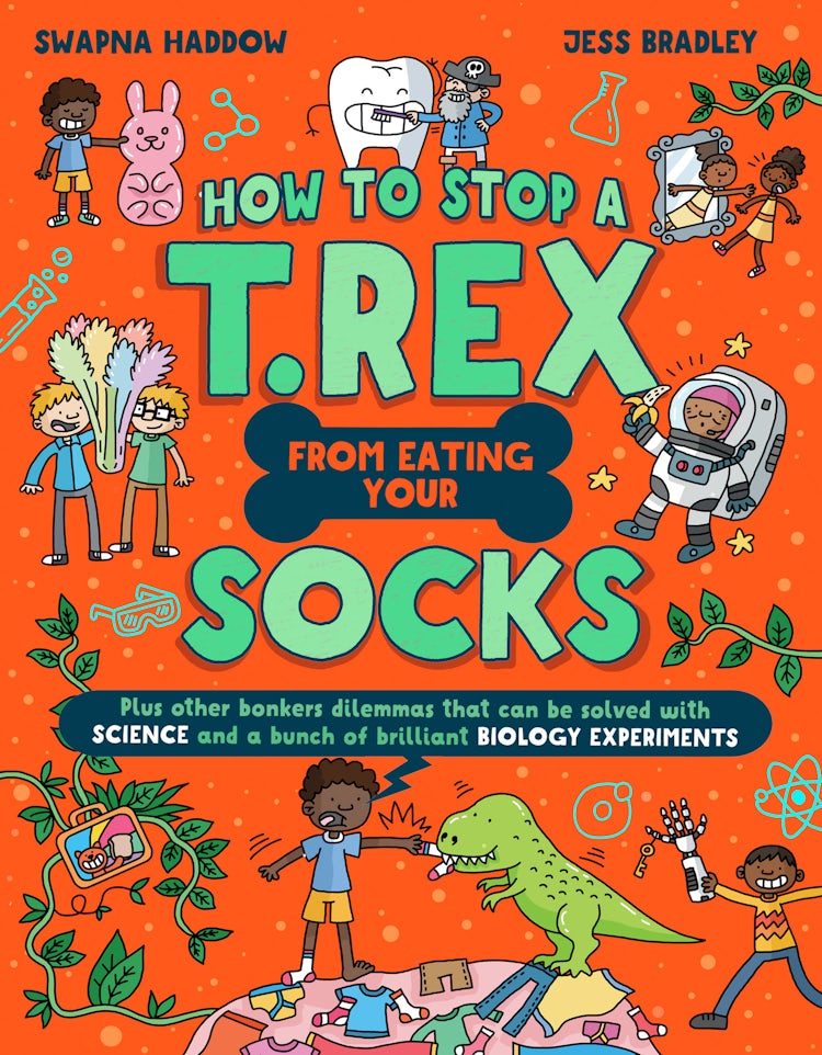 Cover image for How to Stop a T. Rex From Eating Your Socks, isbn: 9780008713379