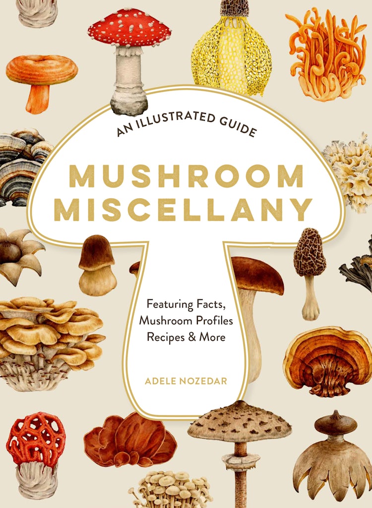 Cover image for Mushroom Miscellany: An Illustrated Guide Featuring Fun Facts, Mushroom Profiles, Recipes & More, isbn: 9780008714420