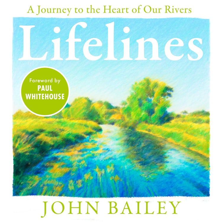 Cover image for Lifelines: A Journey to the Heart of Our Rivers, isbn: 9780008715397