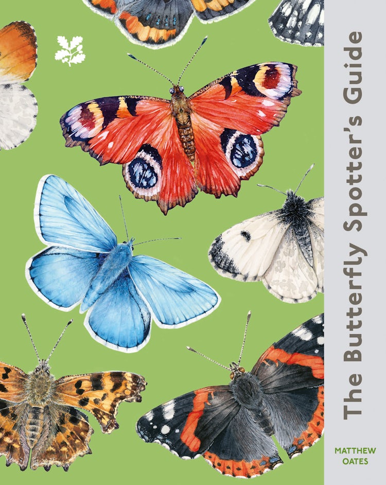 Cover image for National Trust: The Butterfly Spotter's Guide, isbn: 9780008715953
