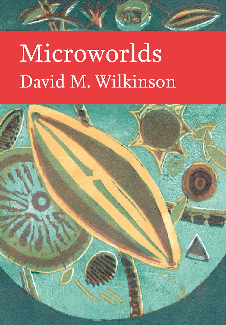 Cover image for Microworlds (Collins New Naturalist Library), isbn: 9780008717605