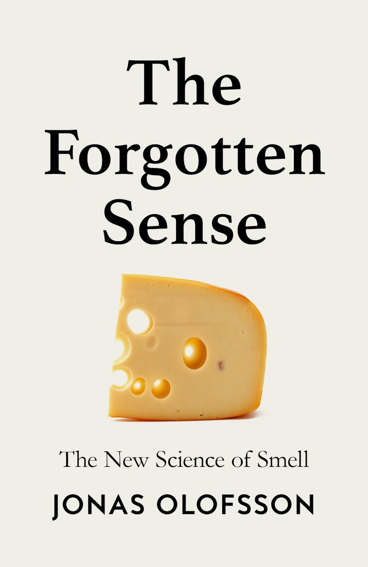 Cover image for The Forgotten Sense: The Nose and the Perception of Smell, isbn: 9780008718596