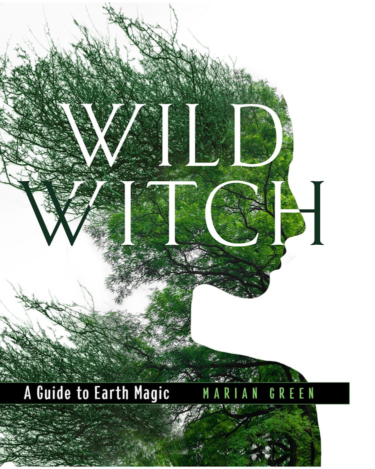 Cover image for Wild Witch: A Guide To Earth Magic, isbn: 9780008719012