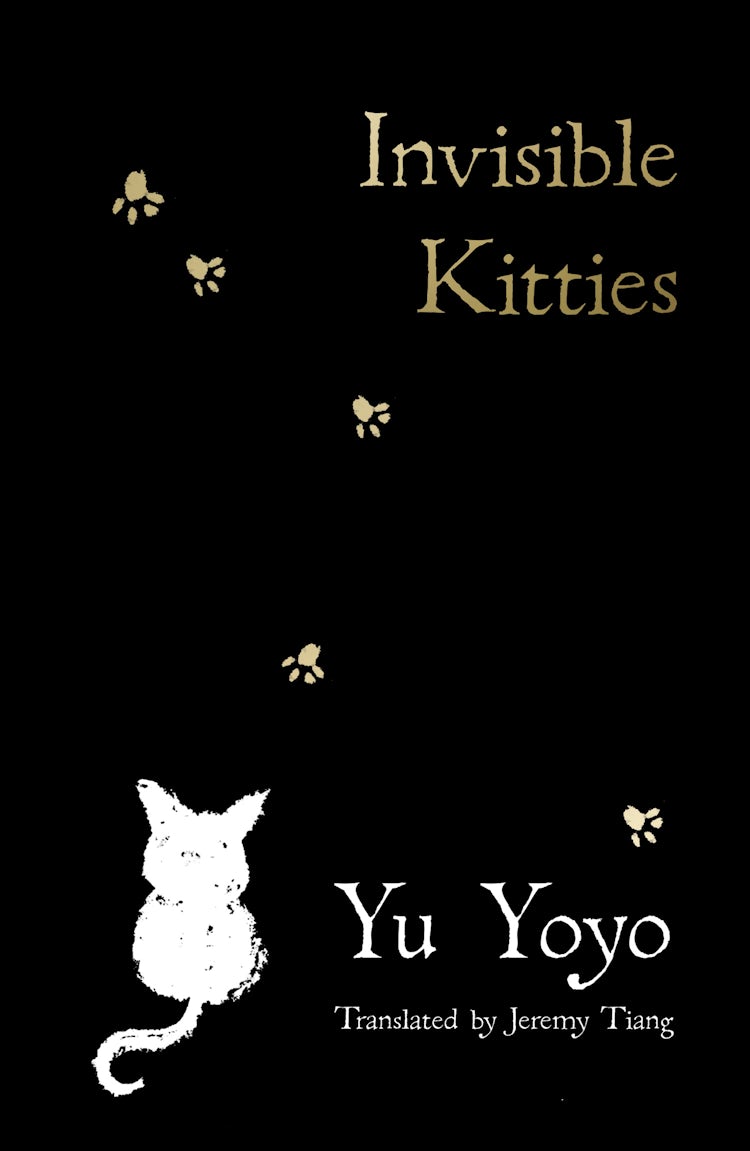Cover image for Invisible Kitties, isbn: 9780008719302