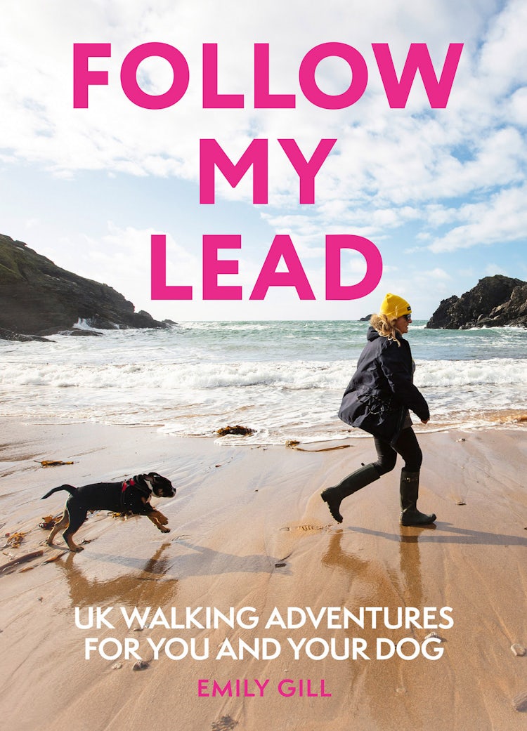 Cover image for Follow My Lead: UK Walking Adventures for You and Your Dog, isbn: 9780008720681