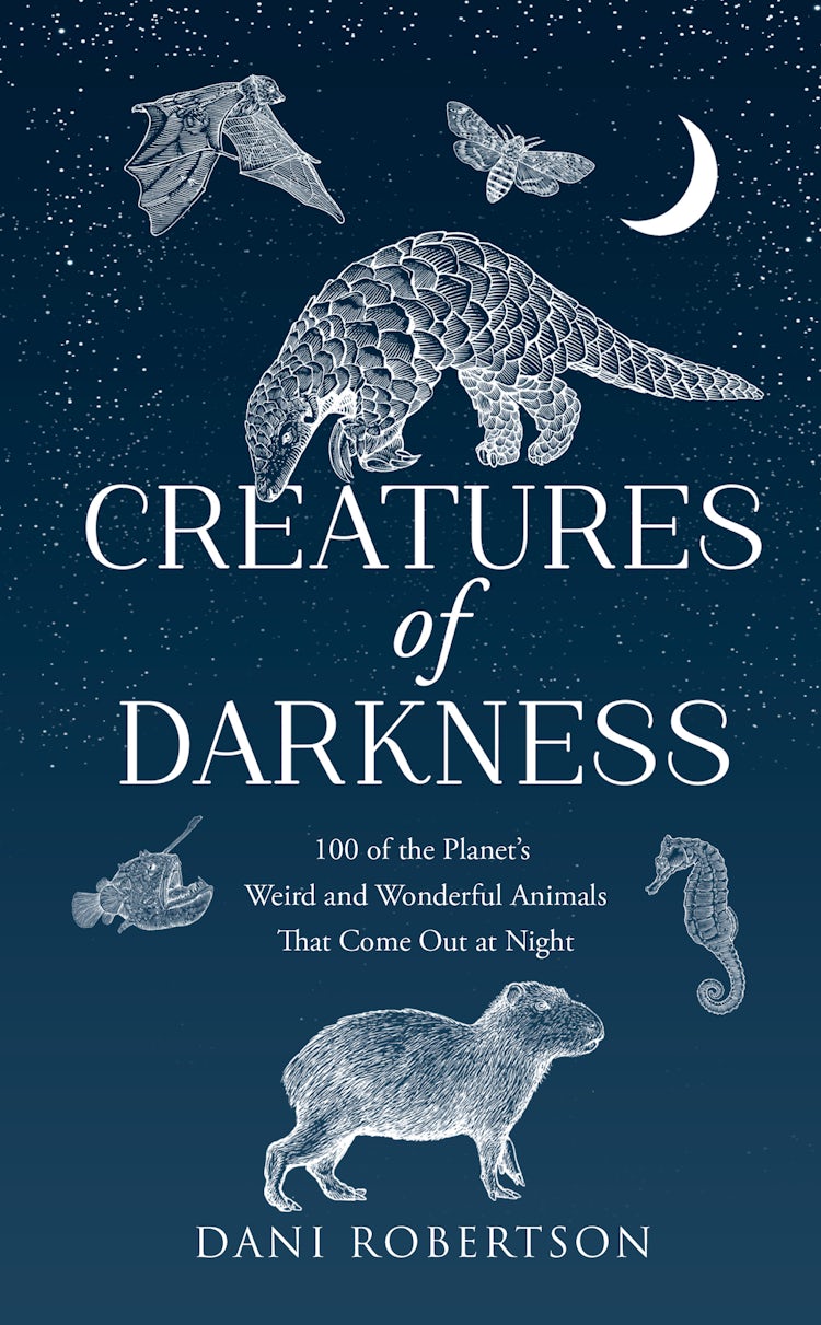 Cover image for Creatures of Darkness: 100 of the Planet's Weird and Wonderful Animals That Come Out at Night, isbn: 9780008728830