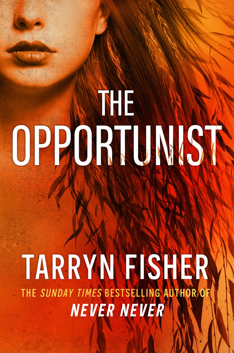 Cover image for The Opportunist (Love Me with Lies, Book 1), isbn: 9780008730291