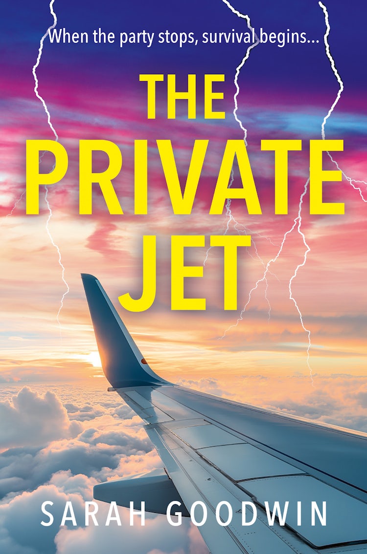 Cover image for The Private Jet (The Thriller Collection, Book 7), isbn: 9780008732806