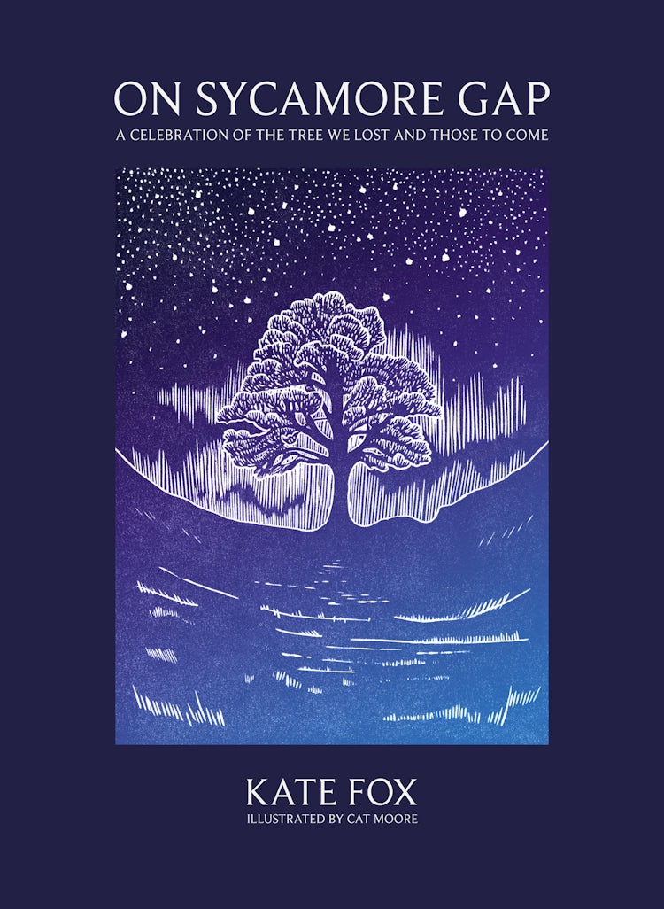 Cover image for On Sycamore Gap, isbn: 9780008735623