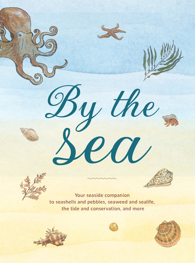 Cover image for By the Sea: Your coastline companion, from beautiful beaches and marine miscellany, to stunning seashells, seaweed, and sealife (Hidden Nature series), isbn: 9780008737238