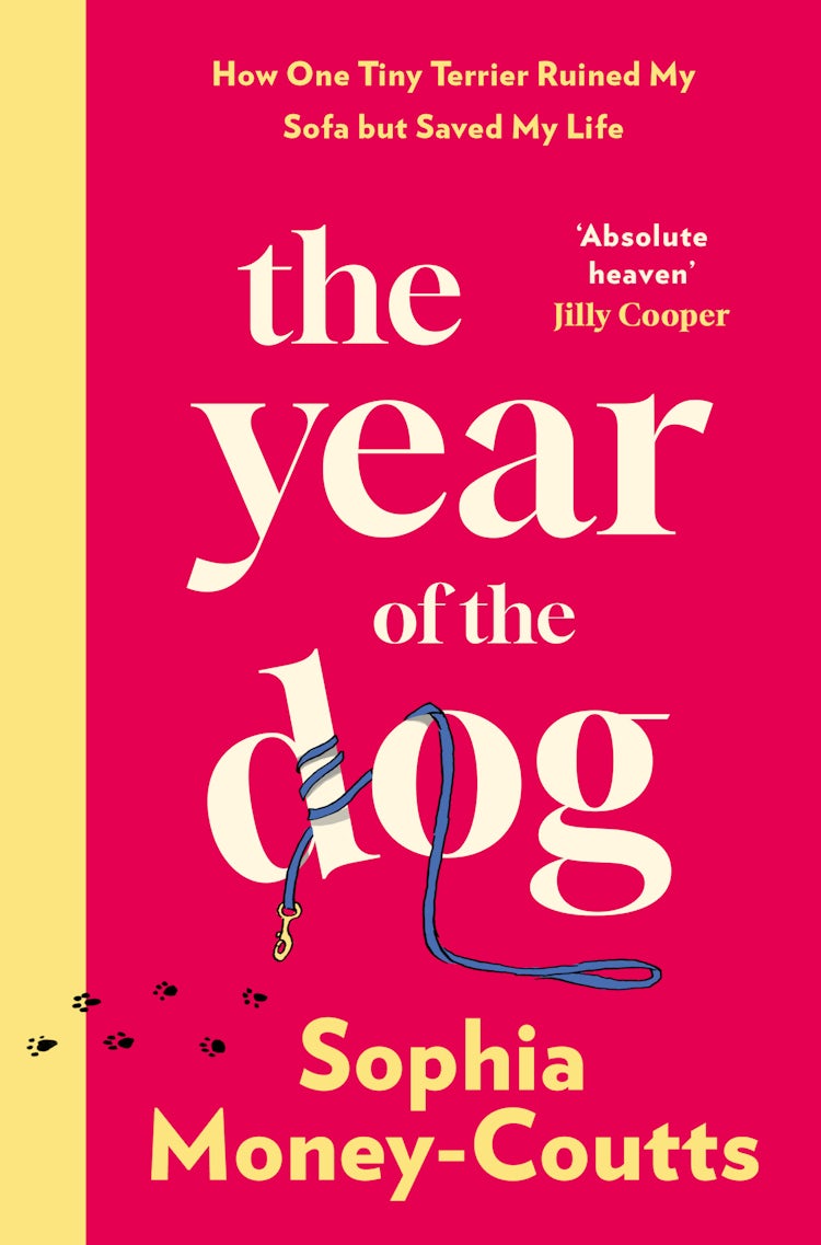 Cover image for The Year of the Dog: How One Tiny Terrier Ruined My Sofa but Saved My Life, isbn: 9780008744021