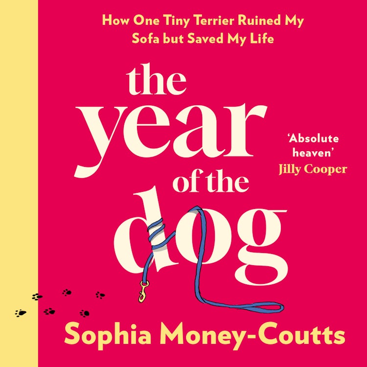 Cover image for The Year of the Dog: How One Tiny Terrier Ruined My Sofa but Saved My Life, isbn: 9780008744045