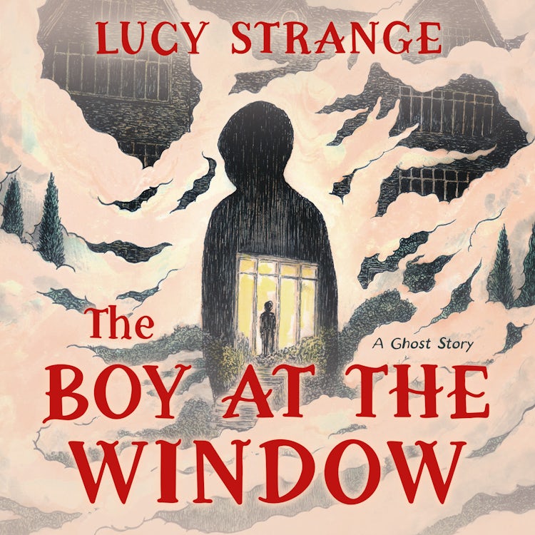 Cover image for The Boy at the Window, isbn: 9780008747732