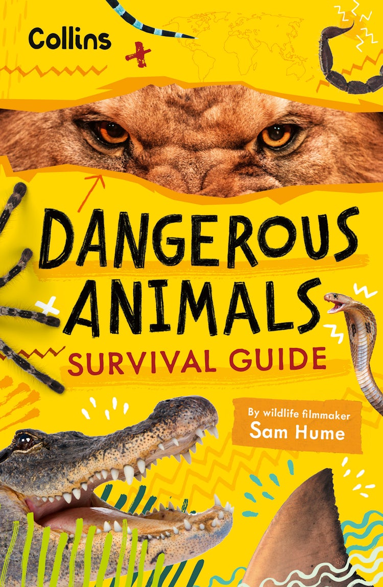 Cover image for Dangerous Animals Survival Guide, isbn: 9780008751883
