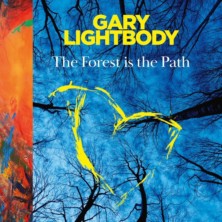 Cover image for The Forest is the Path: Sunday Times and Irish Bestseller – A special companion book to the number 1 bestselling album by Snow Patrol, isbn: 9780008751920