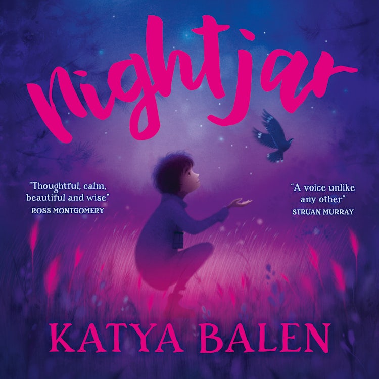 Cover image for Nightjar, isbn: 9780008752149