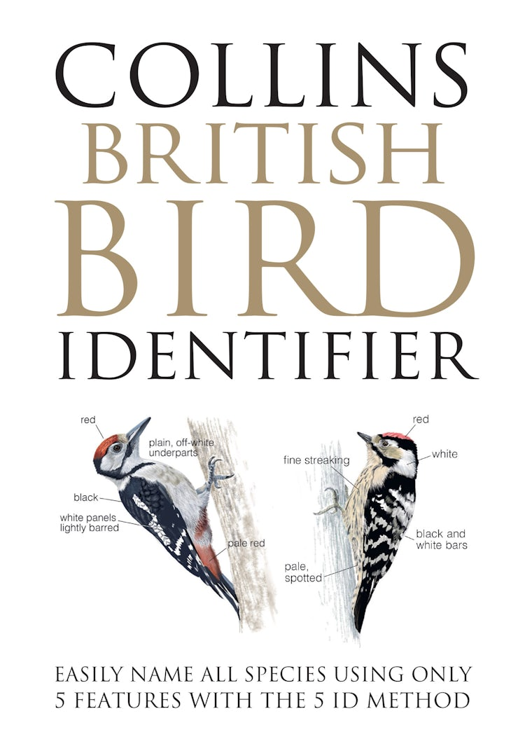 Cover image for Collins British Bird Identifier: Easily Name All Species Using Only 5 Features With the 5 ID Method, isbn: 9780008753061
