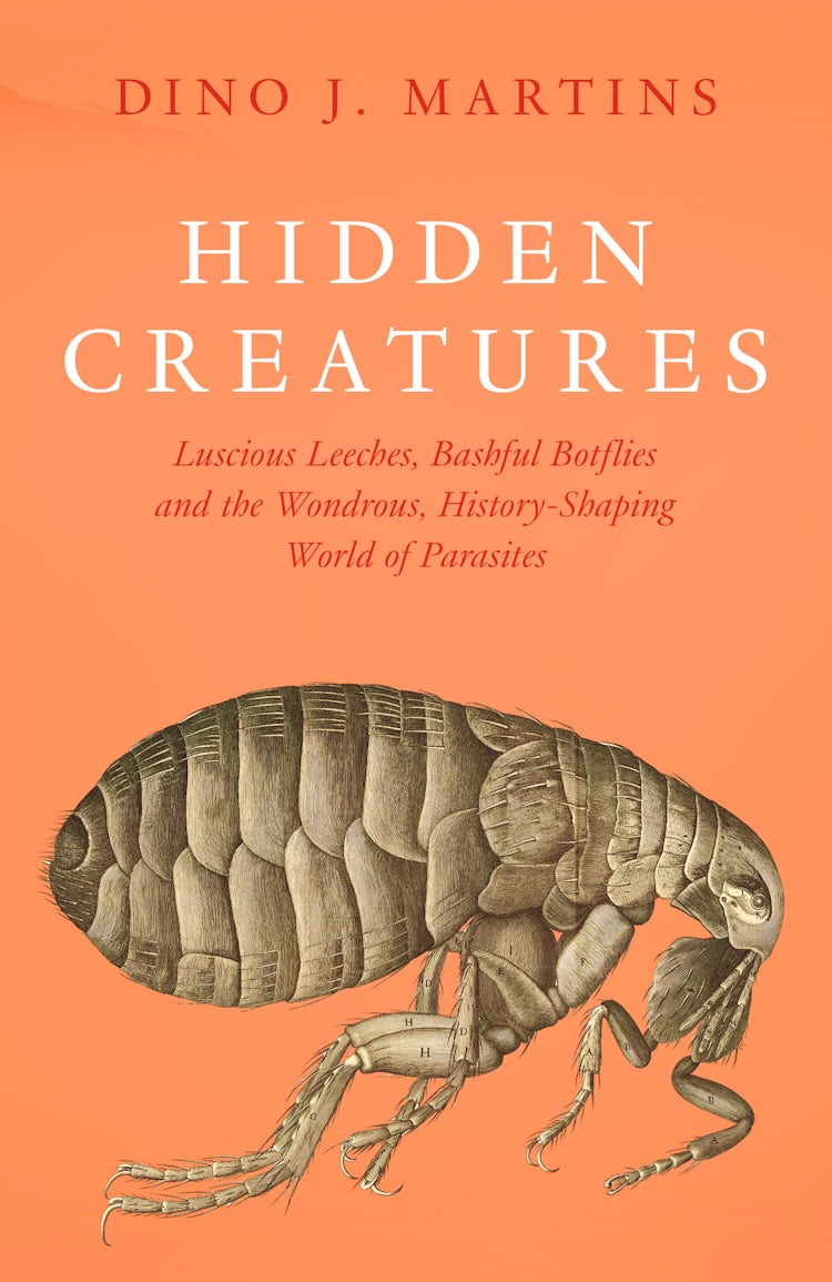 Cover image for Hidden Creatures: Luscious Leeches, Bashful Botflies and the Wondrous, History-Shaping World of Parasites, isbn: 9780008753306
