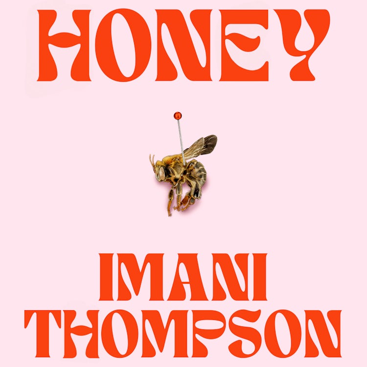 Cover image for Honey: A darkly comic novel about the sticky politics of race, sex, violence and love – told through the eyes of a serial killer, isbn: 9780008759803