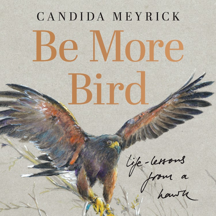 Cover image for Be More Bird: Life Lessons from a Hawk, isbn: 9780008761509