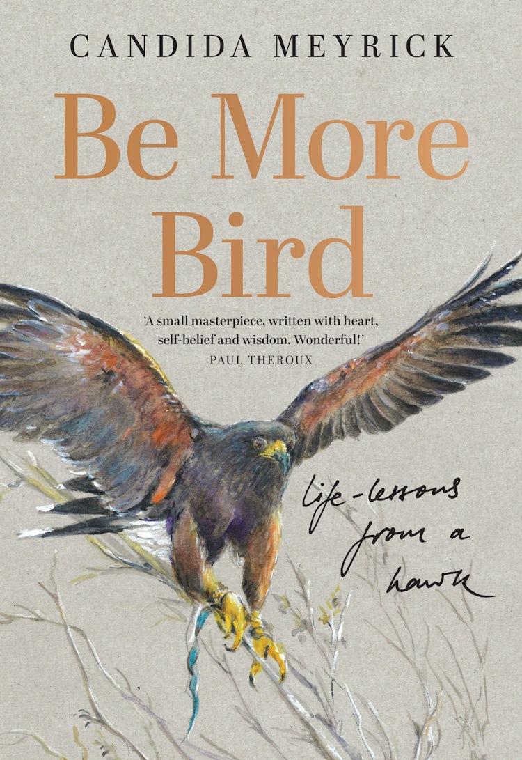 Cover image for Be More Bird, isbn: 9780008761523